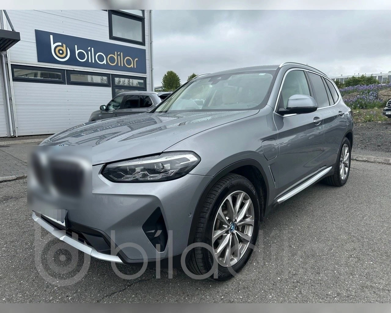 BMW X3 xDrive30e