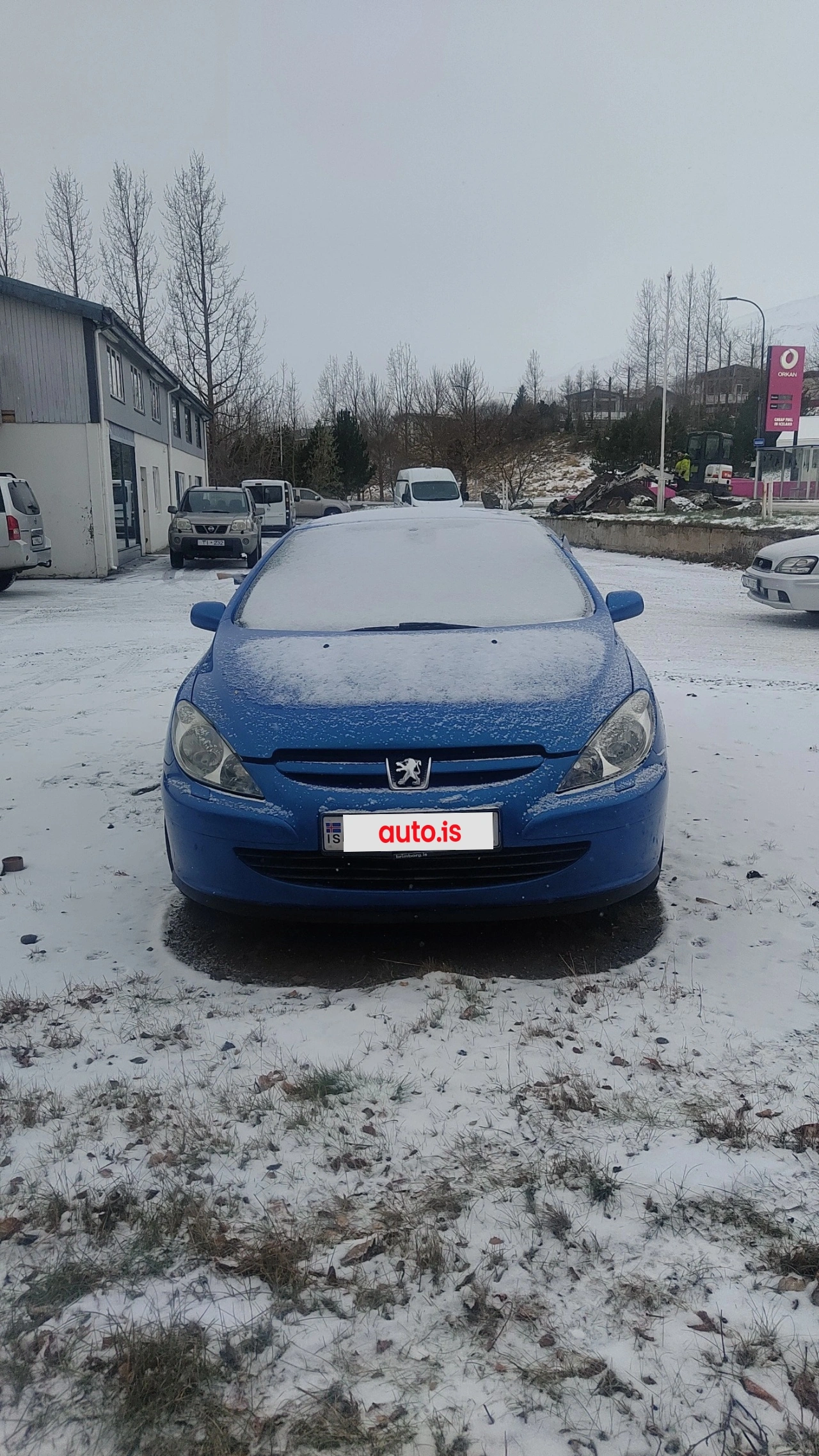 Peugeot 307