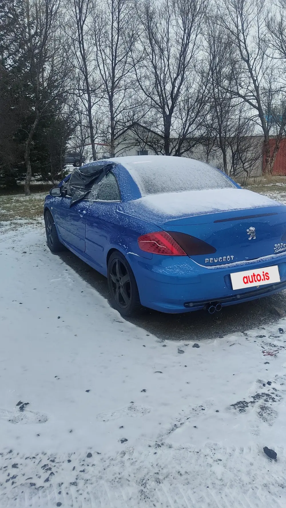 Peugeot 307