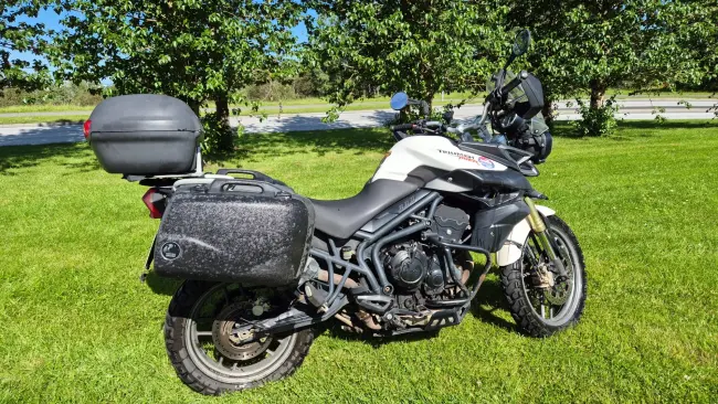 Triumph Tiger
