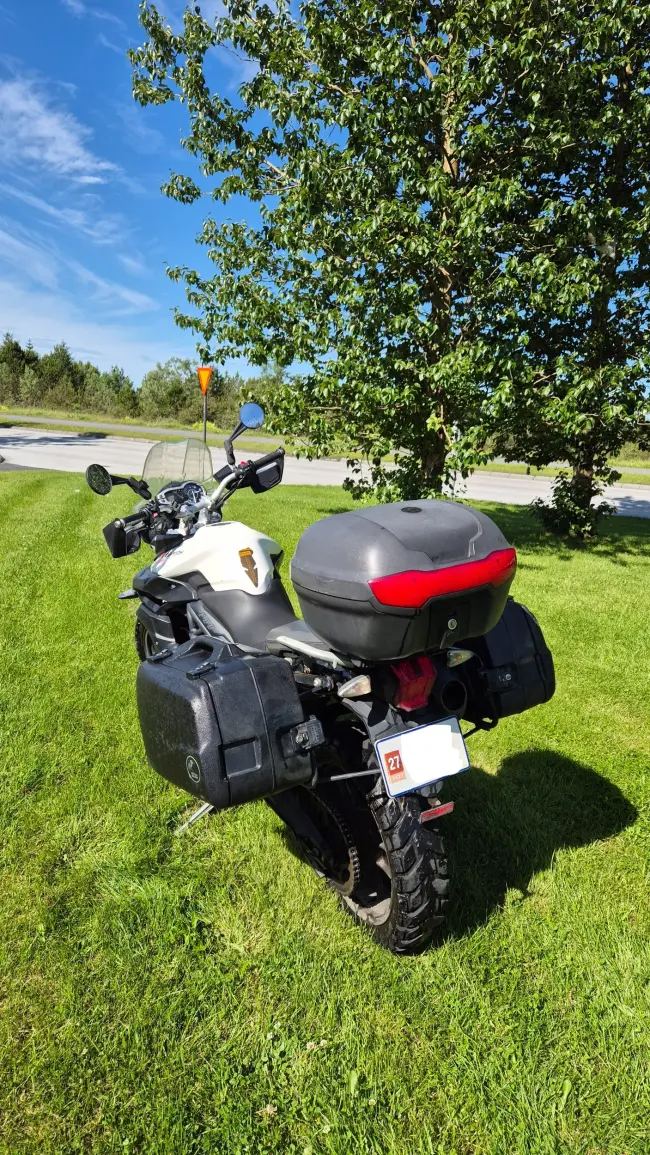 Triumph Tiger