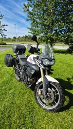 Triumph Tiger