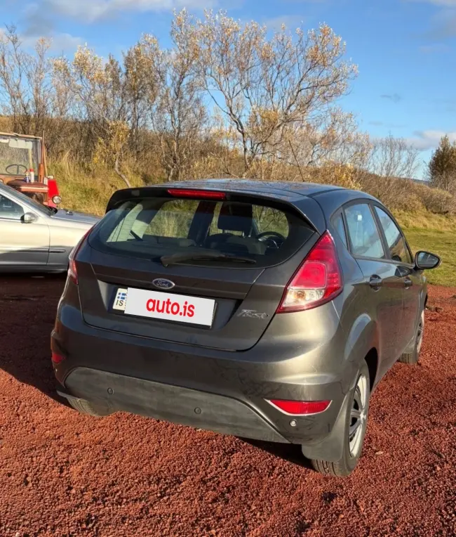 Ford Fiesta (SKIPTI)