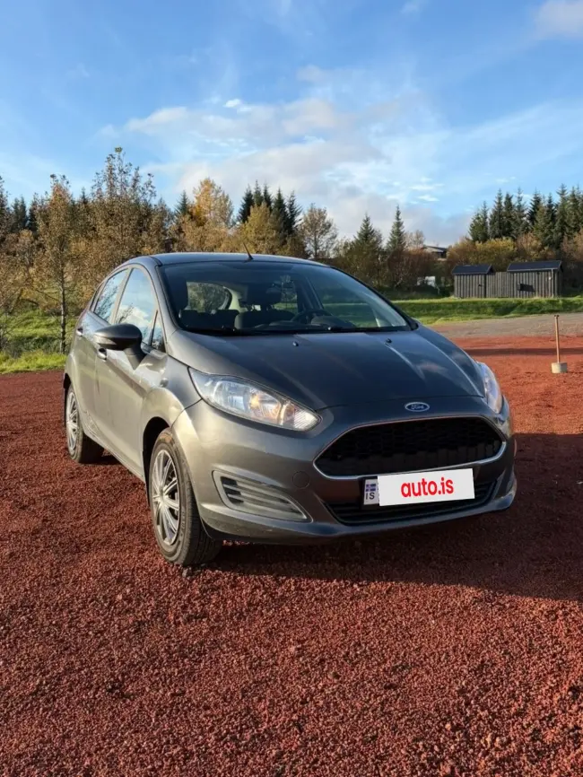 Ford Fiesta (SKIPTI)