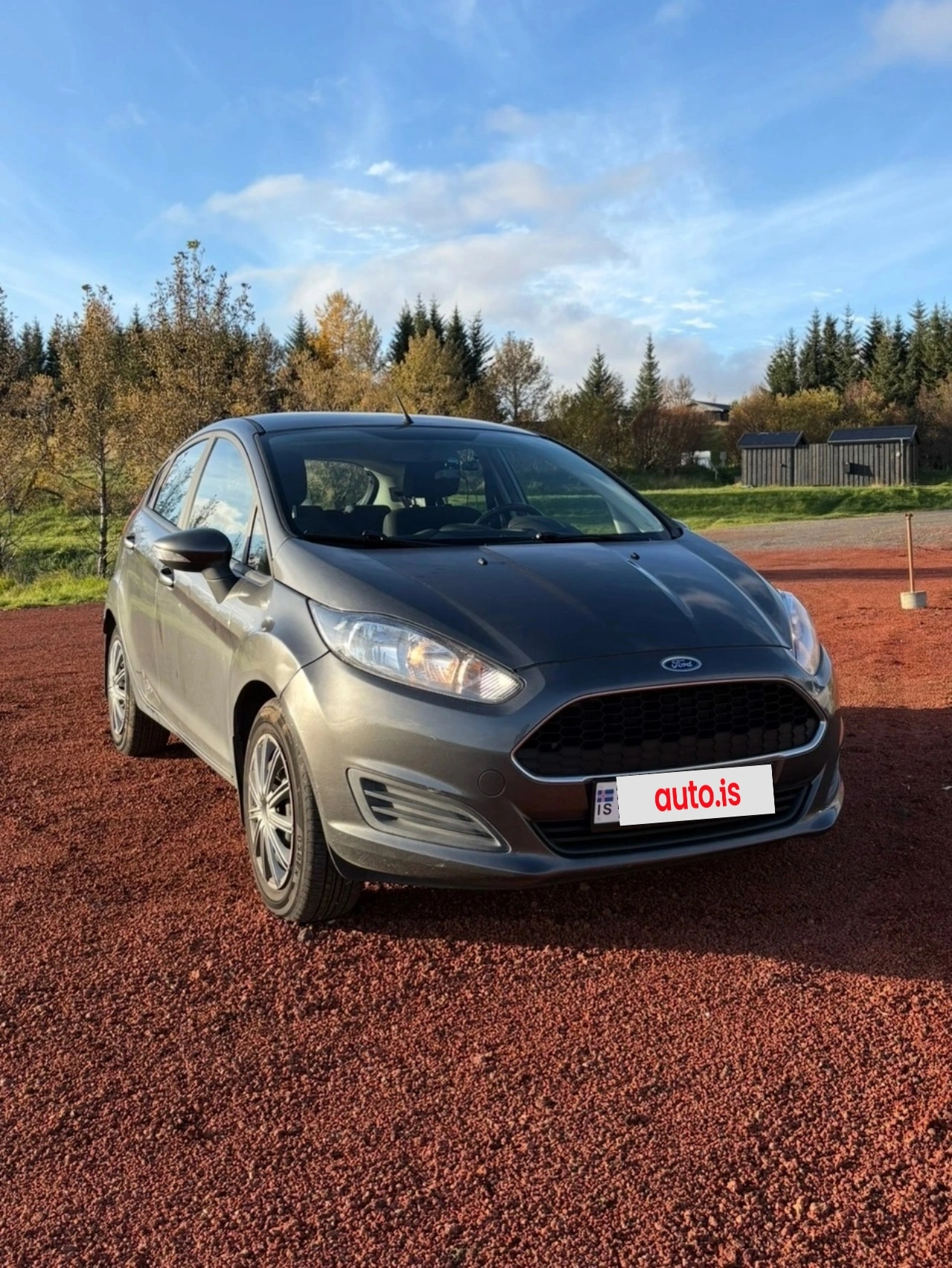 Ford Fiesta (SKIPTI)