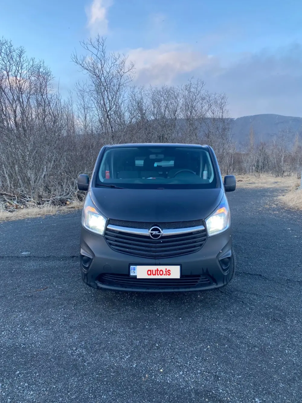 Opel Vivaro-b