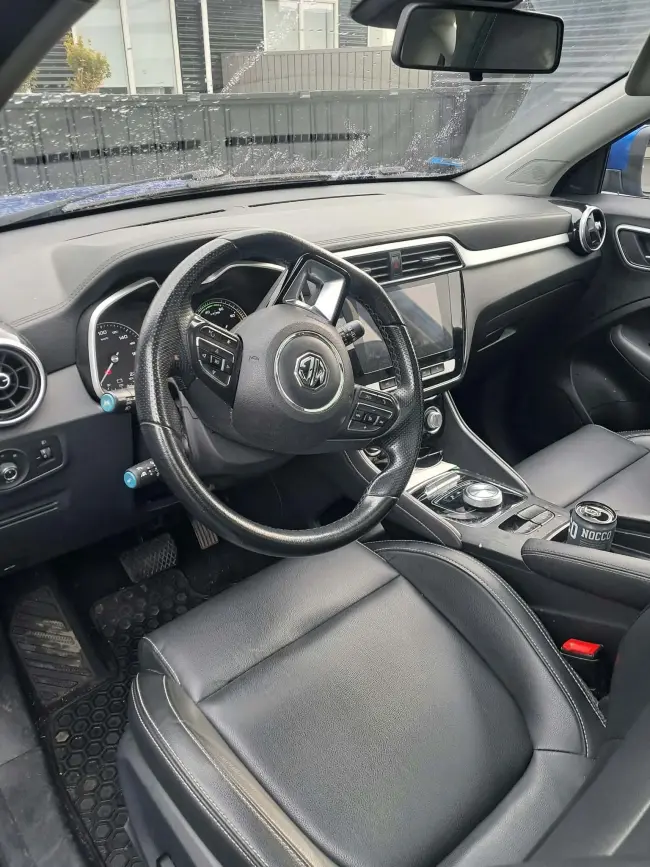 Mg Mg zs ev