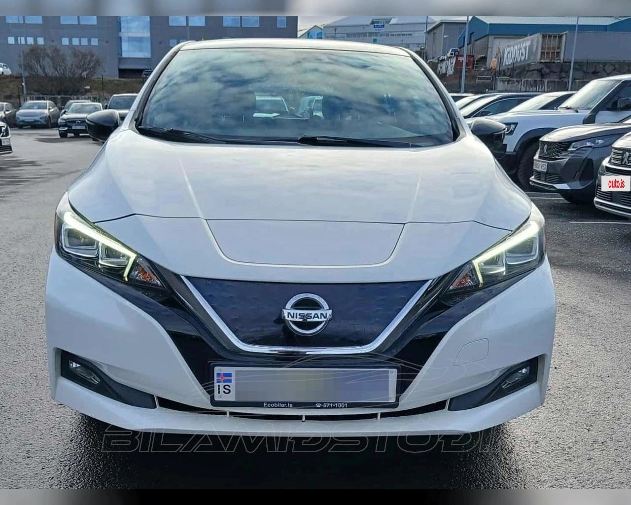 Nissan Leaf 40KWH