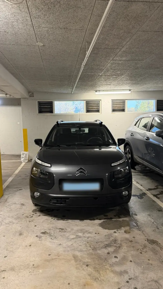 Citroen C4 cactus