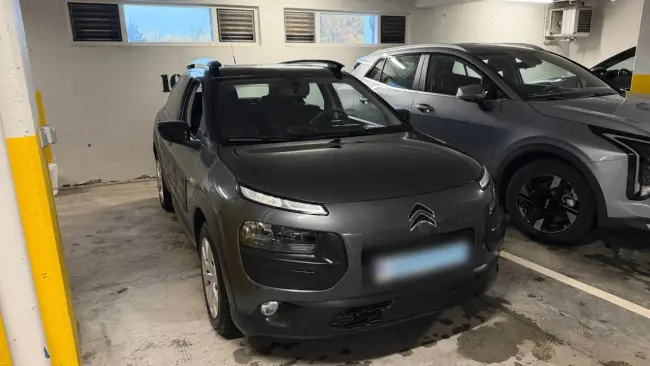 Citroen C4 cactus