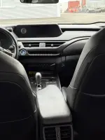 Lexus UX 300e
