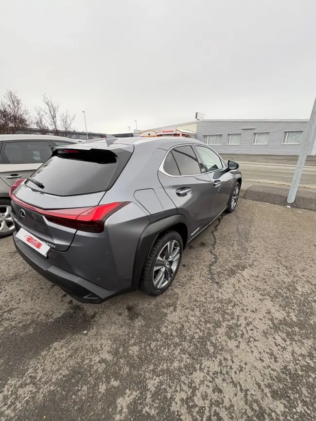 Lexus UX 300e