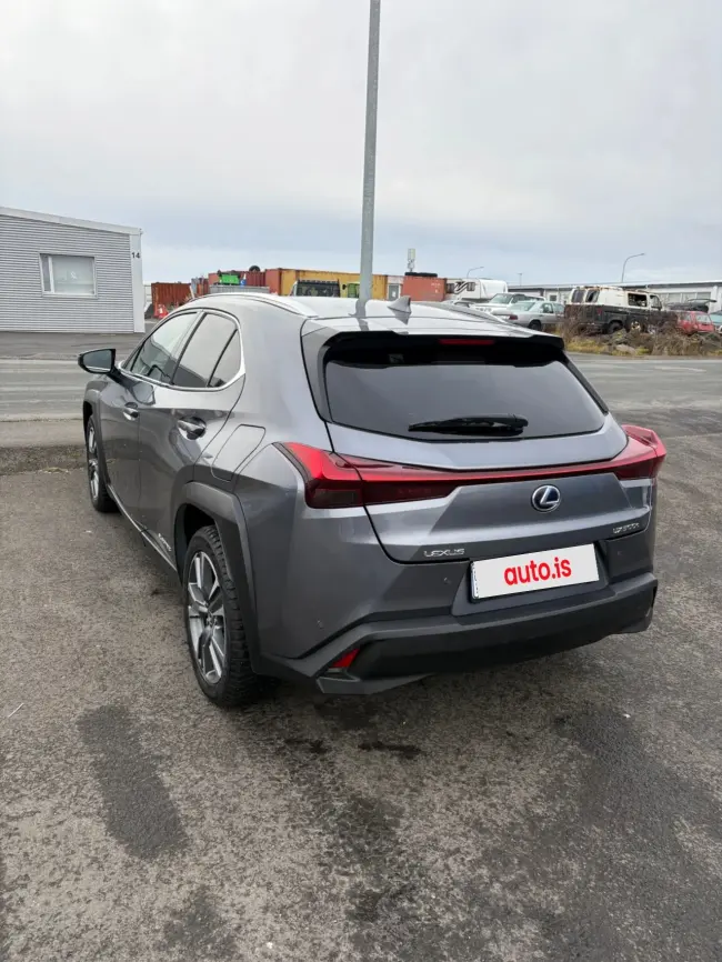 Lexus UX 300e