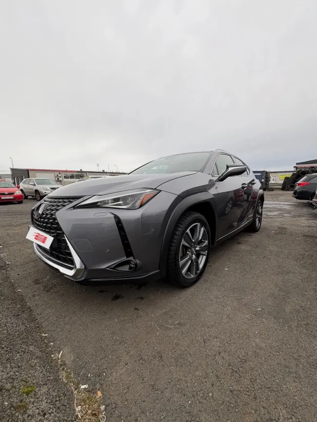 Lexus UX 300e