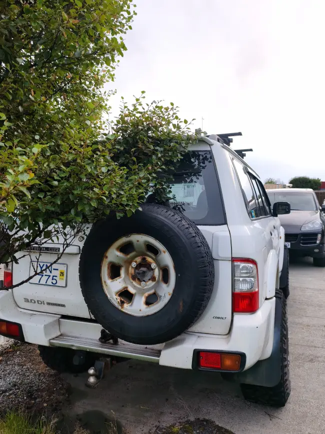 Nissan Patrol gr