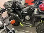 Segway Snarler